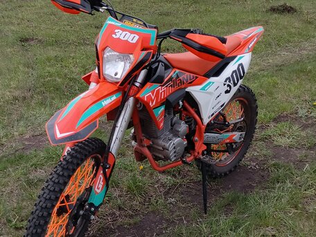 2025 Motoland Enduro 300, оранжевый, 150000 рублей, вид 1