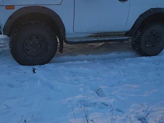 2023 Lada (ВАЗ) Niva Legend I, белый, 1200000 рублей, вид 5