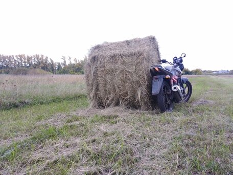 2015 Racer Magnum, коричневый, 60000 рублей, вид 5