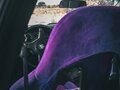 1993 BMW 3 серии 325i III (E36), белый, 810000 рублей - вид 7