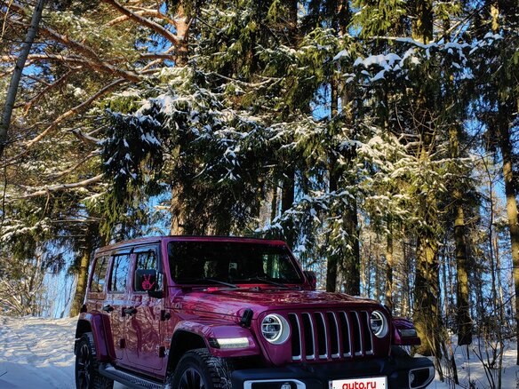 2021 Jeep Wrangler IV (JL), пурпурный, 3000000 рублей - вид 27