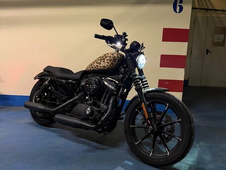 2019 Harley-Davidson Sportster 883, коричневый, 900000 рублей, вид 1
