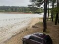 2001 Lada (ВАЗ) 2121 (4x4) I Рестайлинг, фиолетовый, 210000 рублей - вид 9
