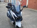 2023 Sym CRUiSYM a 300, белый, 510000 рублей