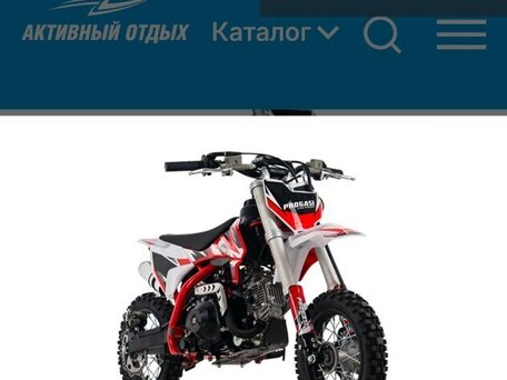 2025 Progasi Kids Power 110, красный, 55000 рублей, вид 4