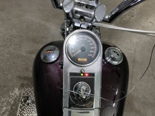 2005 Harley-Davidson Springer Softail, пурпурный, 752000 рублей, вид 5