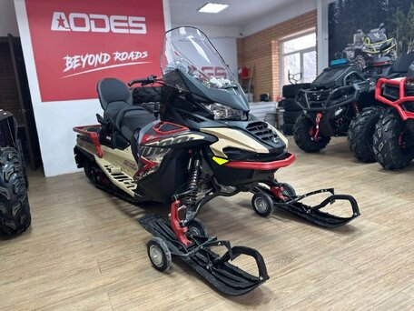 2025 AODES (Odes) Snowcross 1000, бежевый, 999000 рублей, вид 4