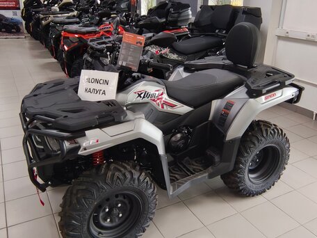 2026 Loncin XWolf 300 Max, серый, 485000 рублей, вид 3