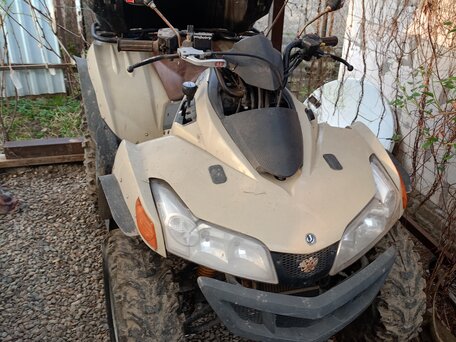 2010 Sym QuadLander, бежевый, 260000 рублей, вид 1