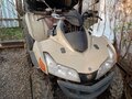 2010 Sym QuadLander, бежевый, 260000 рублей