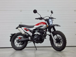 2024 Fuego Rambolor 250, красный, 159900 рублей, вид 5