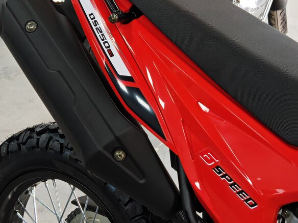 2026 Loncin DS250, красный, 258000 рублей - вид 17
