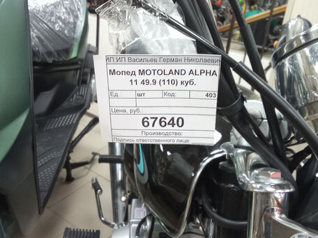 2024 Motoland Alpha RX, чёрный, 62500 рублей, вид 2