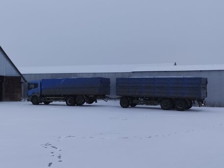 2006 Scania P-series, синий, 6100000 рублей, вид 4