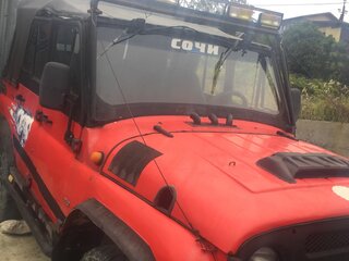 1996 УАЗ 3151 315142, красный, 250000 рублей, вид 4