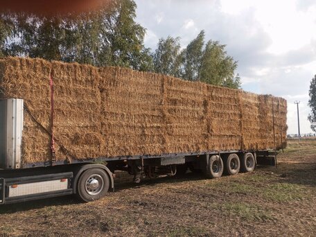 1998 Schmitz Cargobull S01, синий, 330000 рублей, вид 1