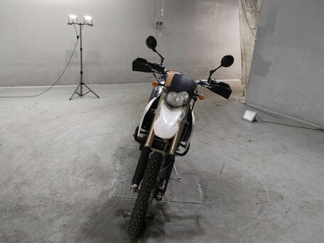 2009 BMW G 650 X, белый, 335000 рублей, вид 2