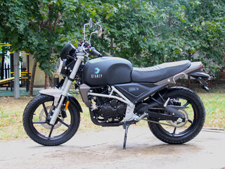 2023 ЗиД 300-01 Стайер, чёрный, 199900 рублей, вид 3
