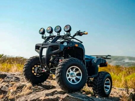 2025 Tiger Sport 250, чёрный, 237900 рублей, вид 3