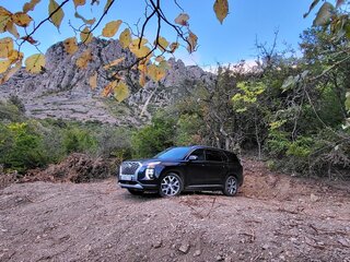 2021 Hyundai Palisade I, синий, 4333334 рублей, вид 5