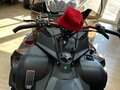 2025 AODES (Odes) Snowcross 1000, бежевый, 999000 рублей - вид 2