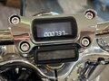 2024 Harley-Davidson Softail Standard, чёрный, 1890000 рублей - вид 11
