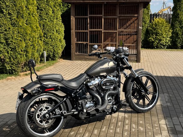2019 Harley-Davidson Breakout, серый, 1800000 рублей - вид 13