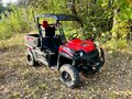 2008 Aeon SXS Cube 350 4WD, красный, 550000 рублей - вид 1