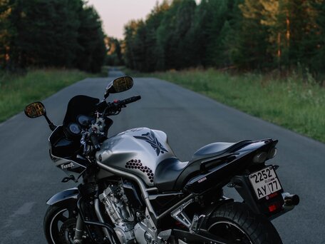 2002 Yamaha FZS1000 Fazer, серебристый, 420000 рублей, вид 4