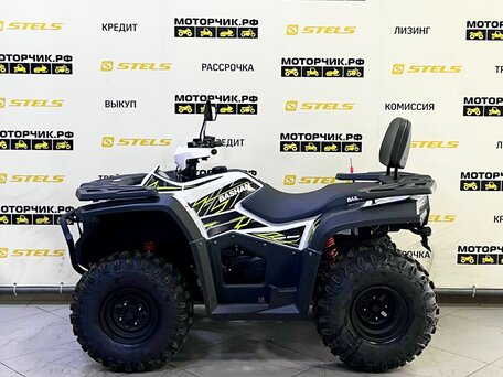 2025 Bashan Explorer 300, белый, 339000 рублей, вид 2