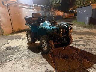 2014 Yamaha Grizzly 700, голубой, 670000 рублей, вид 4