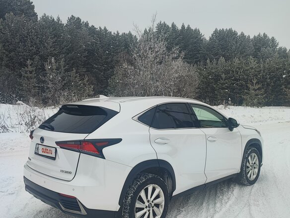 2018 Lexus NX 200 I Рестайлинг, белый, 3600000 рублей - вид 23