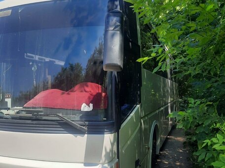 1984 Scania 2-Series, белый, 1350000 рублей, вид 3