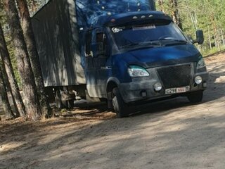 2008 ГАЗ ГАЗель (33023/330273) Фермер, синий, 1290000 рублей, вид 2