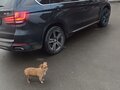 2017 BMW X5 35i III (F15), чёрный, 4050000 рублей - вид 1