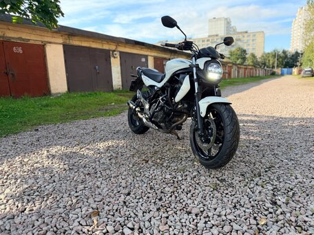 2012 Suzuki SFV 650 Gladius, чёрный, 450000 рублей, вид 1