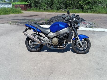 2001 Honda X11, синий, 650000 рублей, вид 1