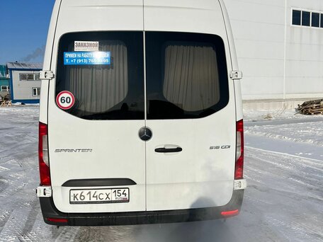2020 Mercedes-Benz Sprinter, белый, 10000000 рублей, вид 4