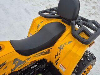 2024 Motoland Wild Track 200, золотистый, 215000 рублей, вид 3