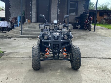 2023 Tiger Sport 250, чёрный, 100000 рублей, вид 1