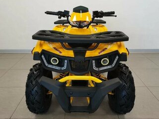 2025 Avantis Hunter 200 Big, жёлтый, 191059 рублей, вид 2