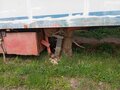1990 Schmitz Cargobull SKO, серый, 250000 рублей - вид 3