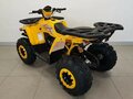2025 Avantis Hunter 200 Big, жёлтый, 191059 рублей - вид 5