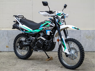 2025 Racer Panther, зелёный, 135000 рублей, вид 3