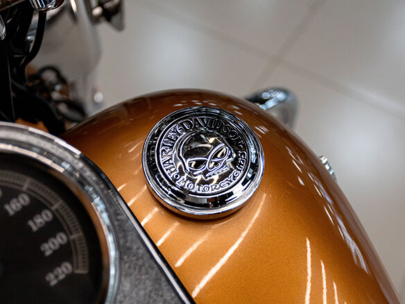 2008 Harley-Davidson Fat Boy, золотистый, 1300000 рублей - вид 20