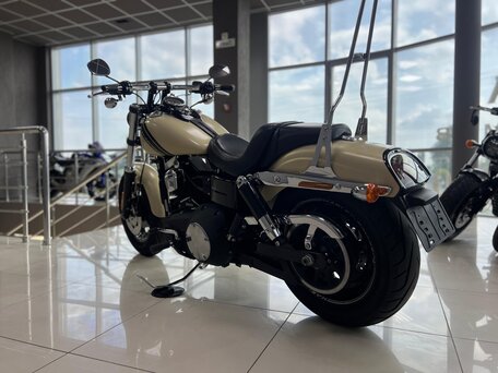 2014 Harley-Davidson Fat Bob, бежевый, 980000 рублей, вид 5