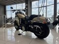 2014 Harley-Davidson Fat Bob, бежевый - вид 5