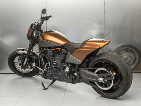 2019 Harley-Davidson FXDR 114, коричневый, 1580221 рублей, вид 4