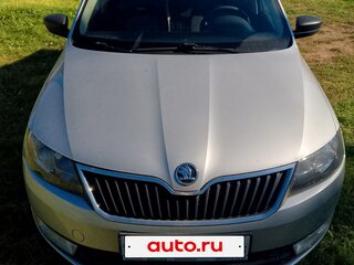 2014 Skoda Rapid I, серебристый, 980000 рублей, вид 2