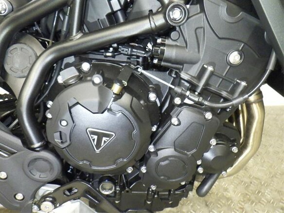 2024 Triumph Tiger 900, белый, 1290000 рублей - вид 7